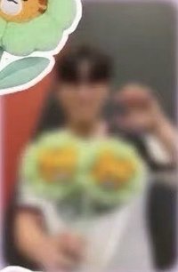 2026 Animal Friends Flower Plushie 周邊卡 