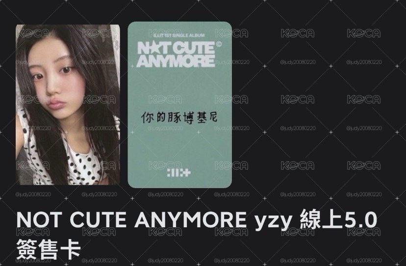 禧中背 「你的豚博基尼」