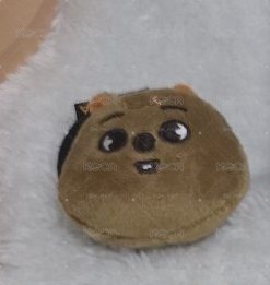 城大頭髮圈