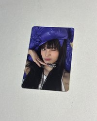 安妮2
