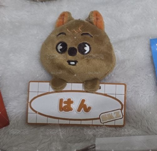 城大頭姓名牌