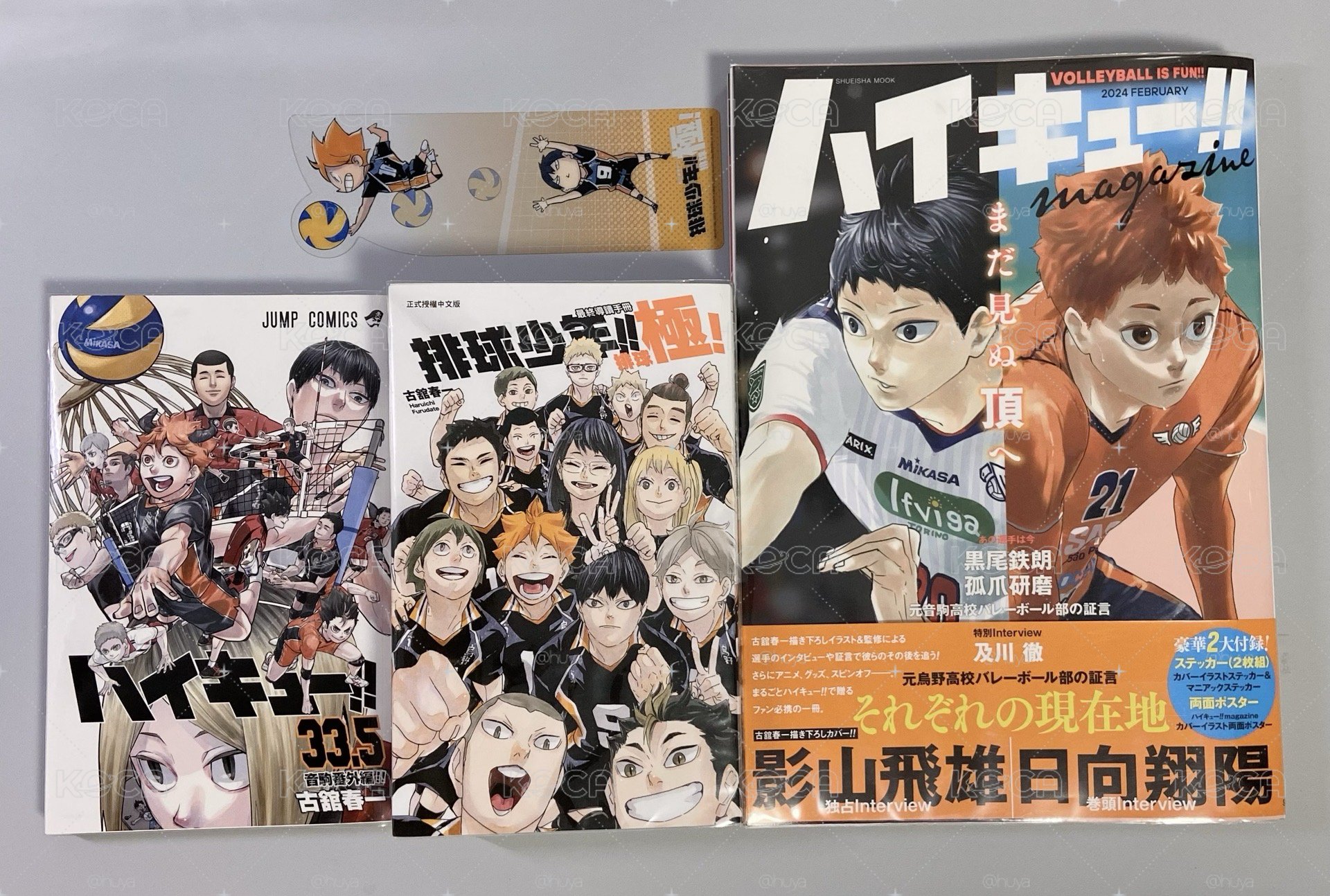 排球書籍類