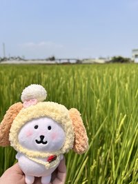 霓霓
