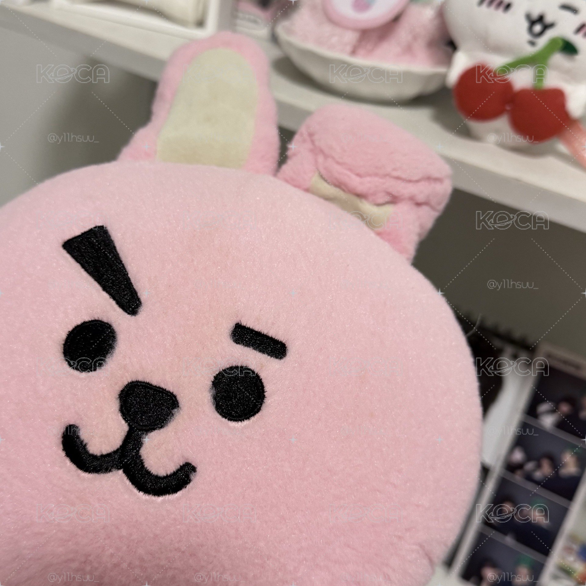 初代cooky站娃