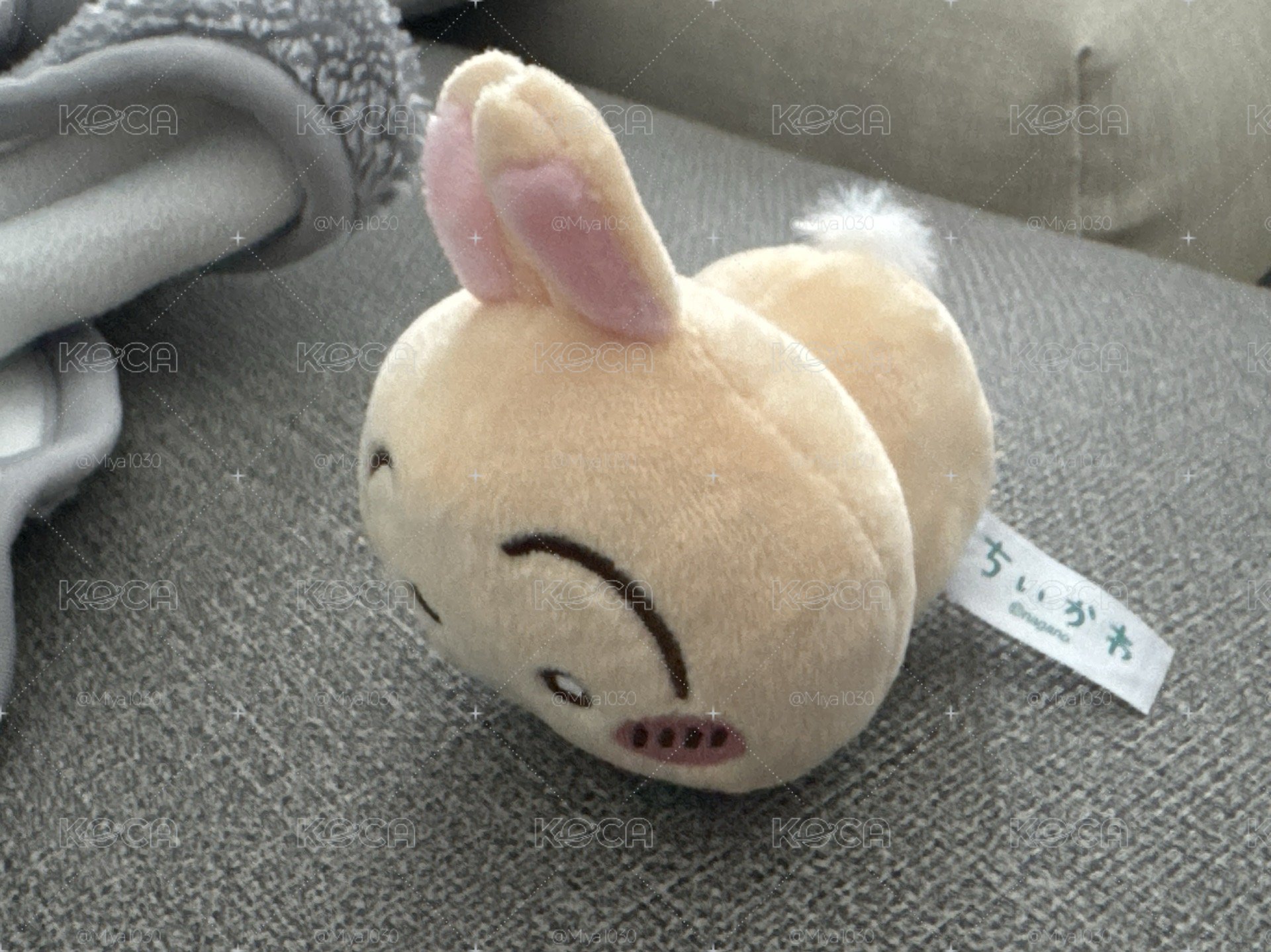 烏薩琪（趴姿）