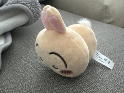 烏薩琪（趴姿）