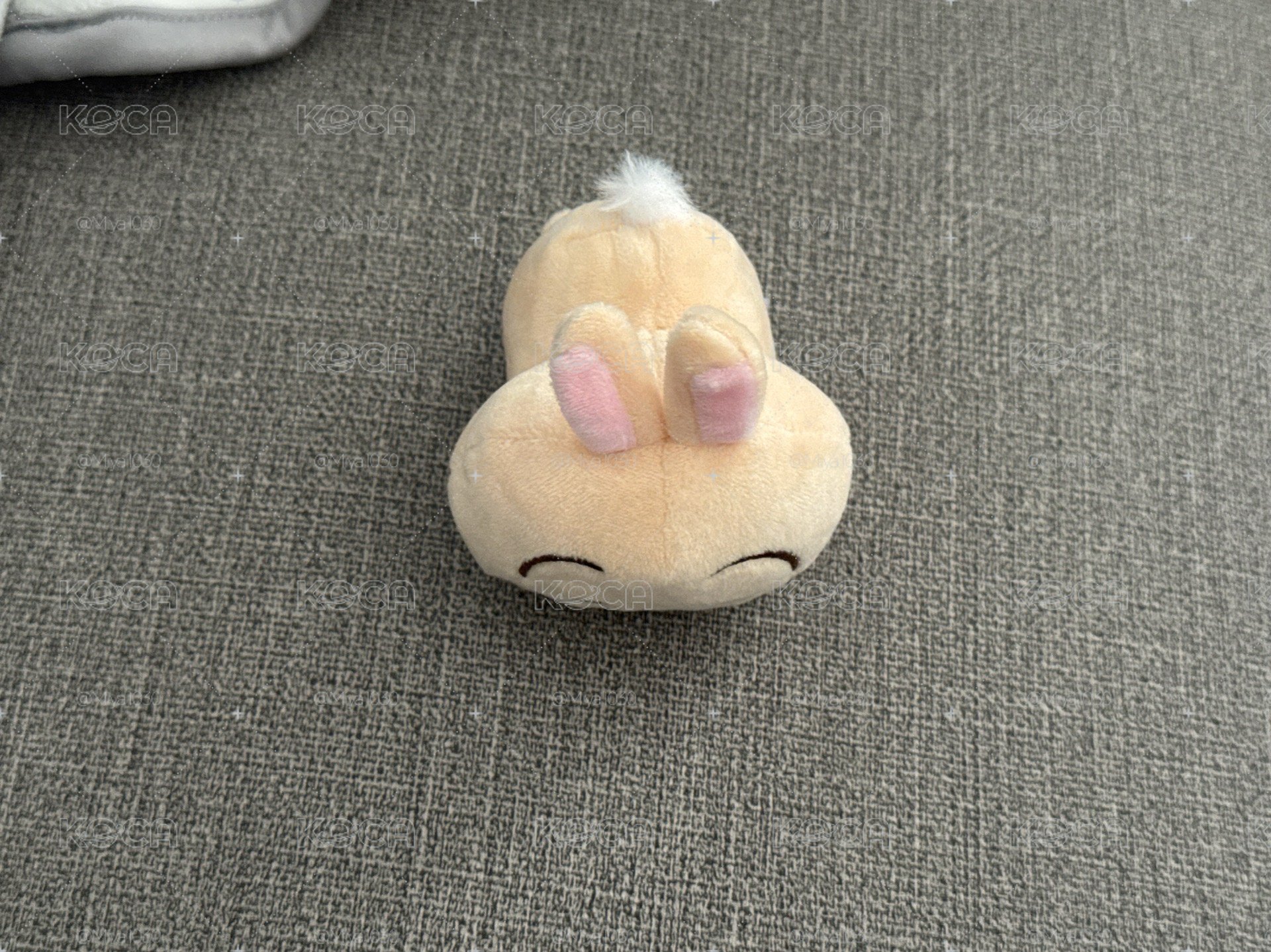 烏薩琪（趴姿）