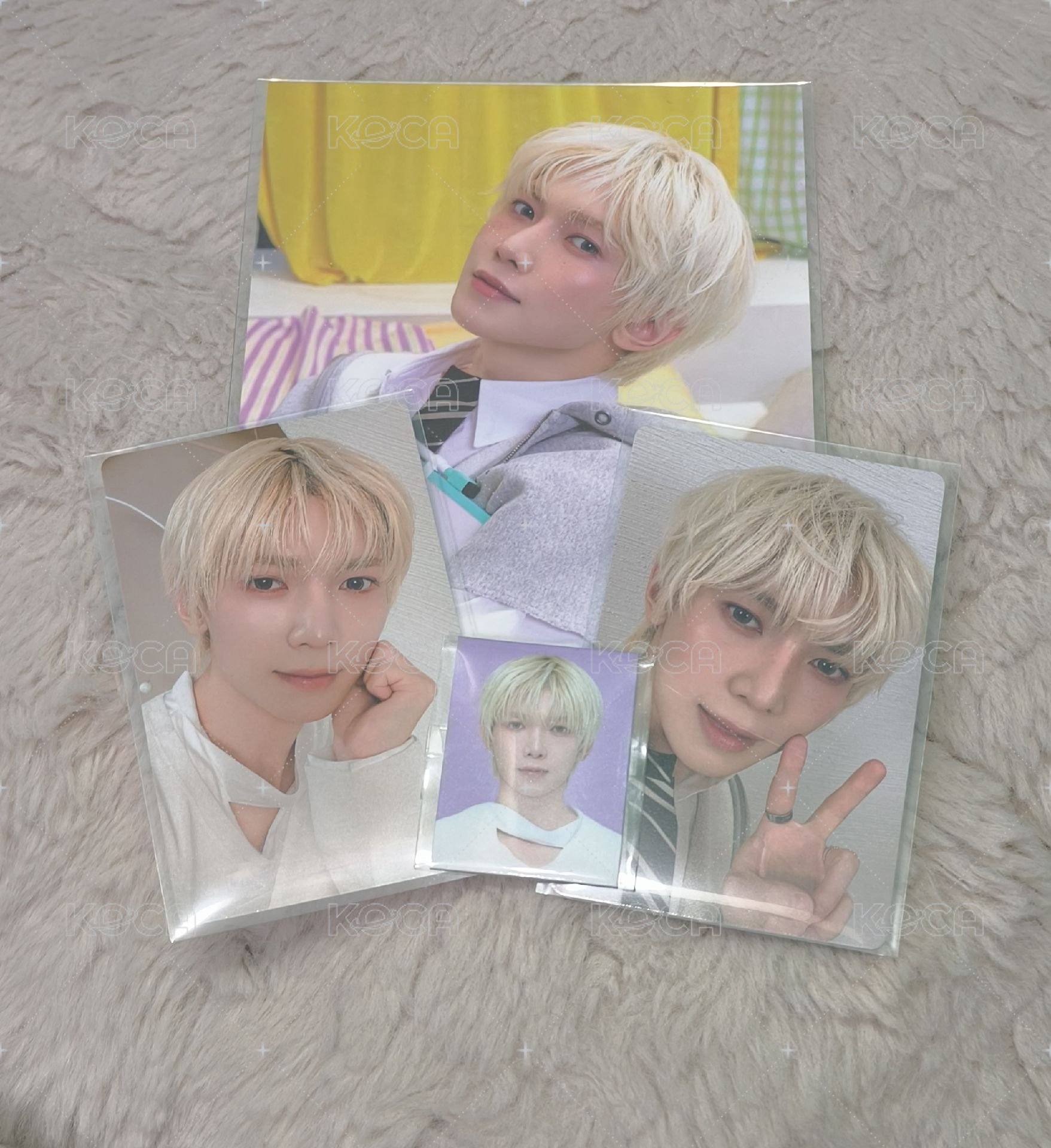 尚set