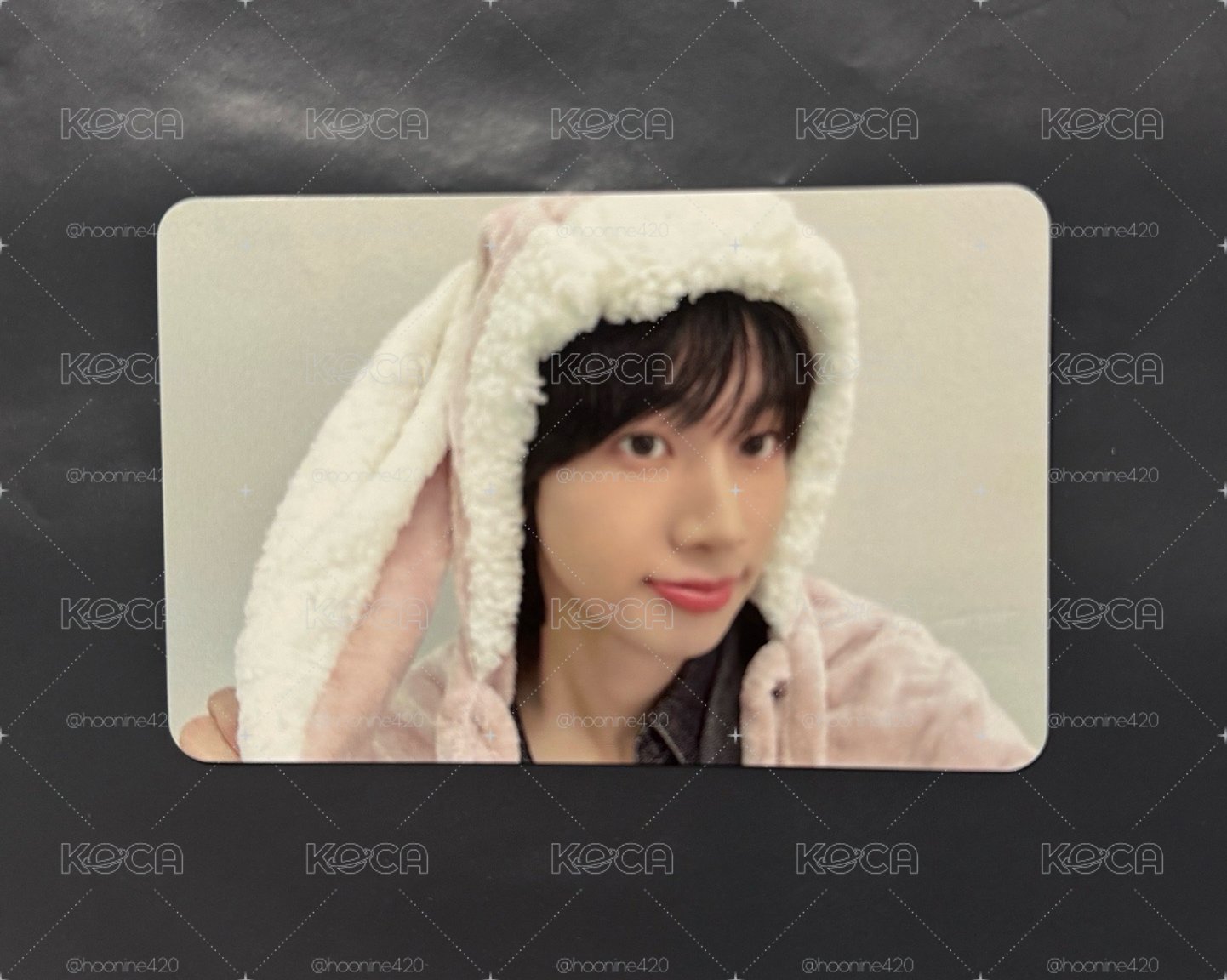 HL 성현兔子特典卡