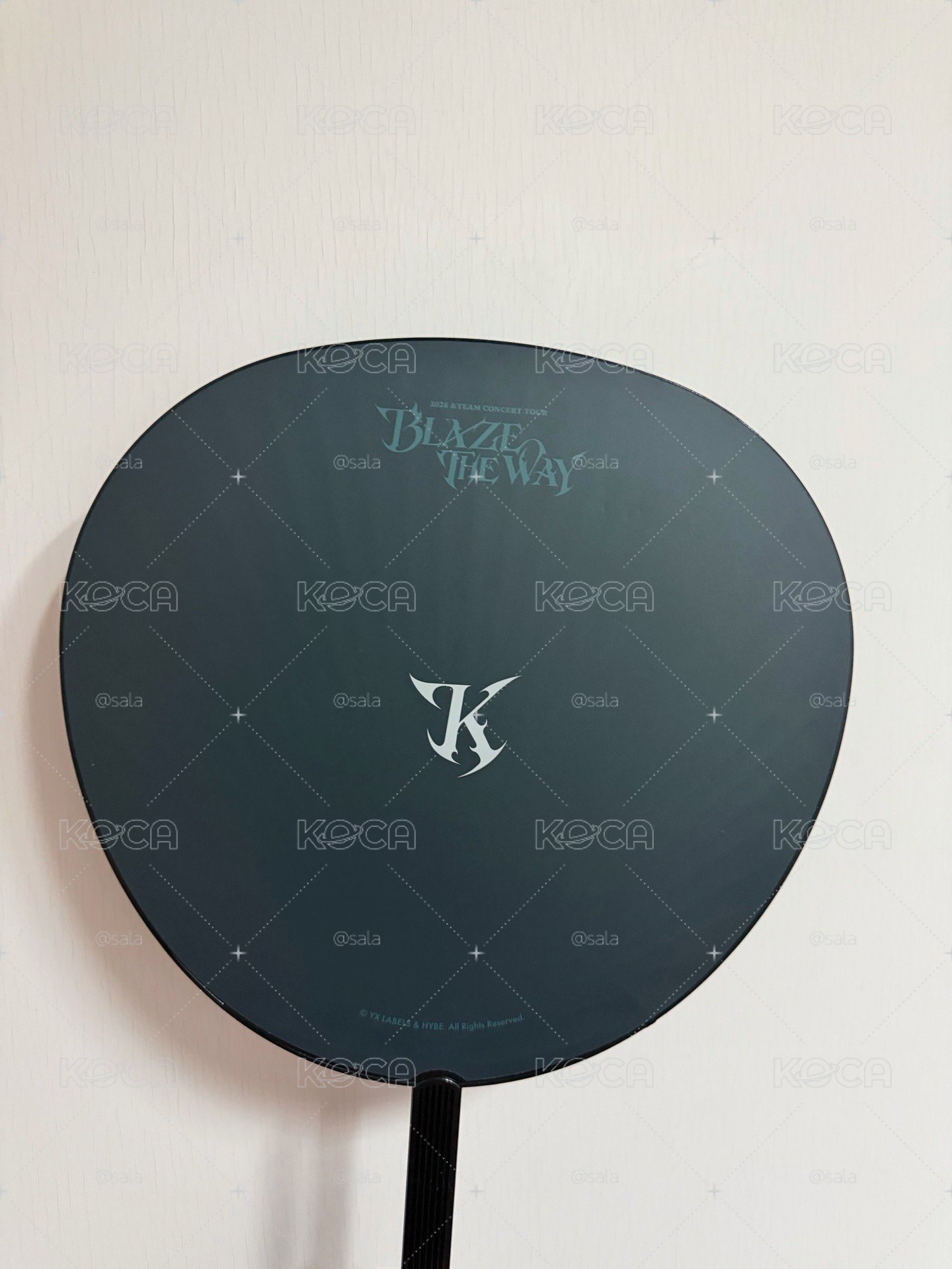 K王扇（BTW）