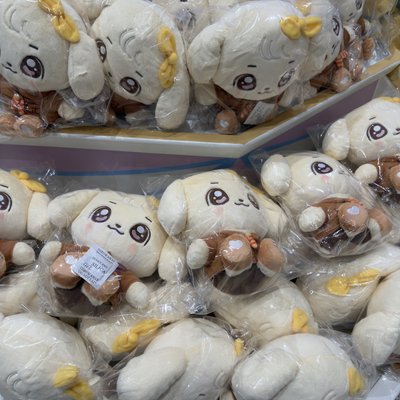 IVE 愛寶樂園 現貨