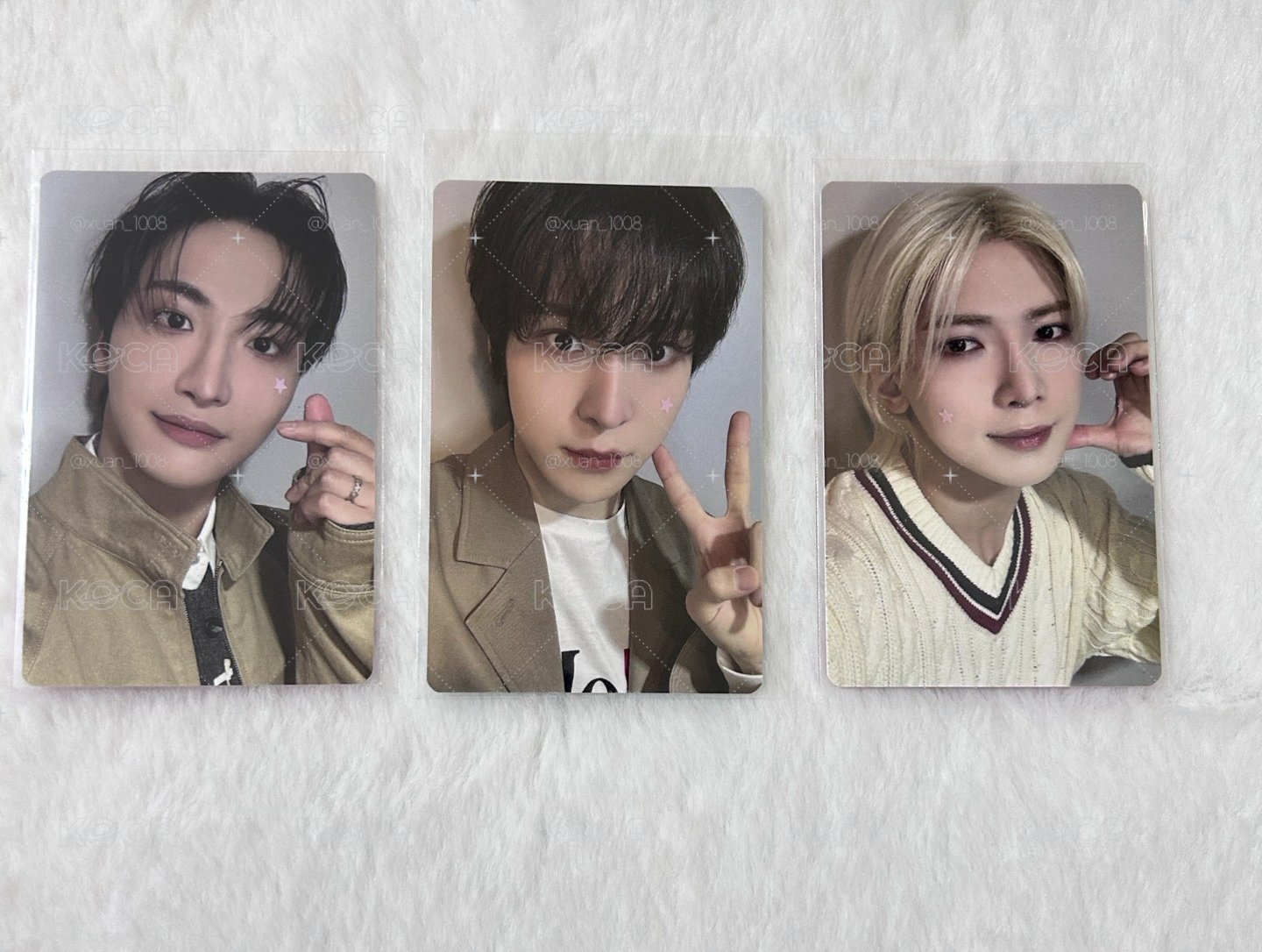 🏴‍☠️Mighteez滿額卡🐰🐶🐩