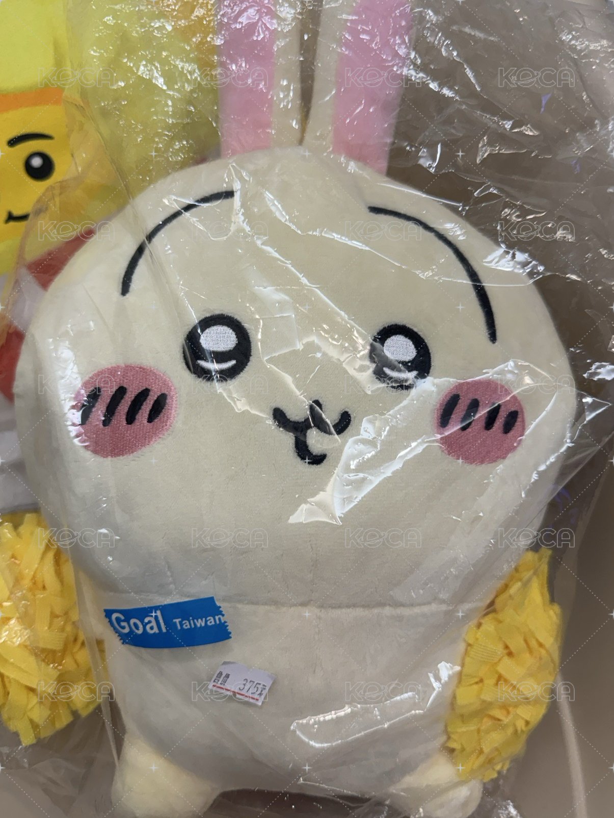啦啦隊兔