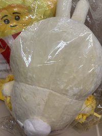 啦啦隊兔