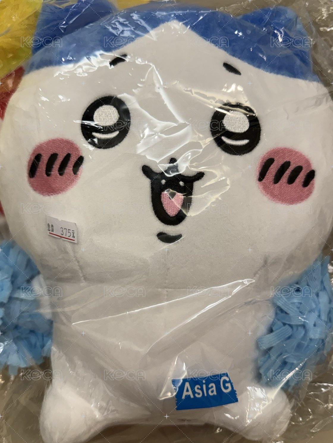 啦啦隊八
