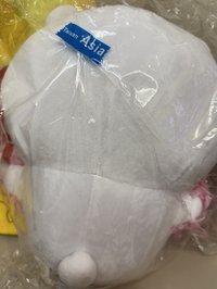 啦啦隊吉