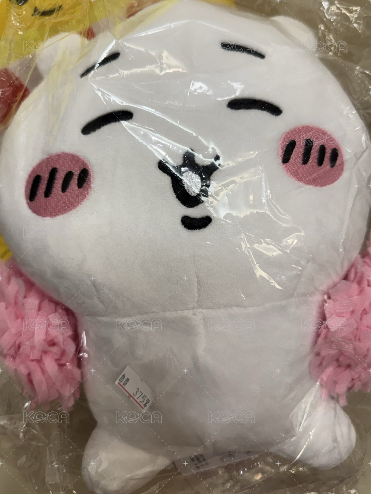 啦啦隊吉