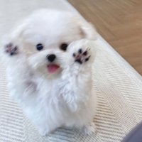 切哩