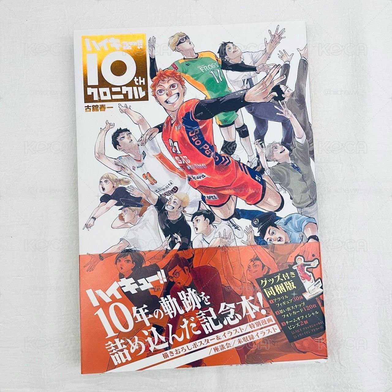 排球🏐十週年編年史 日文版