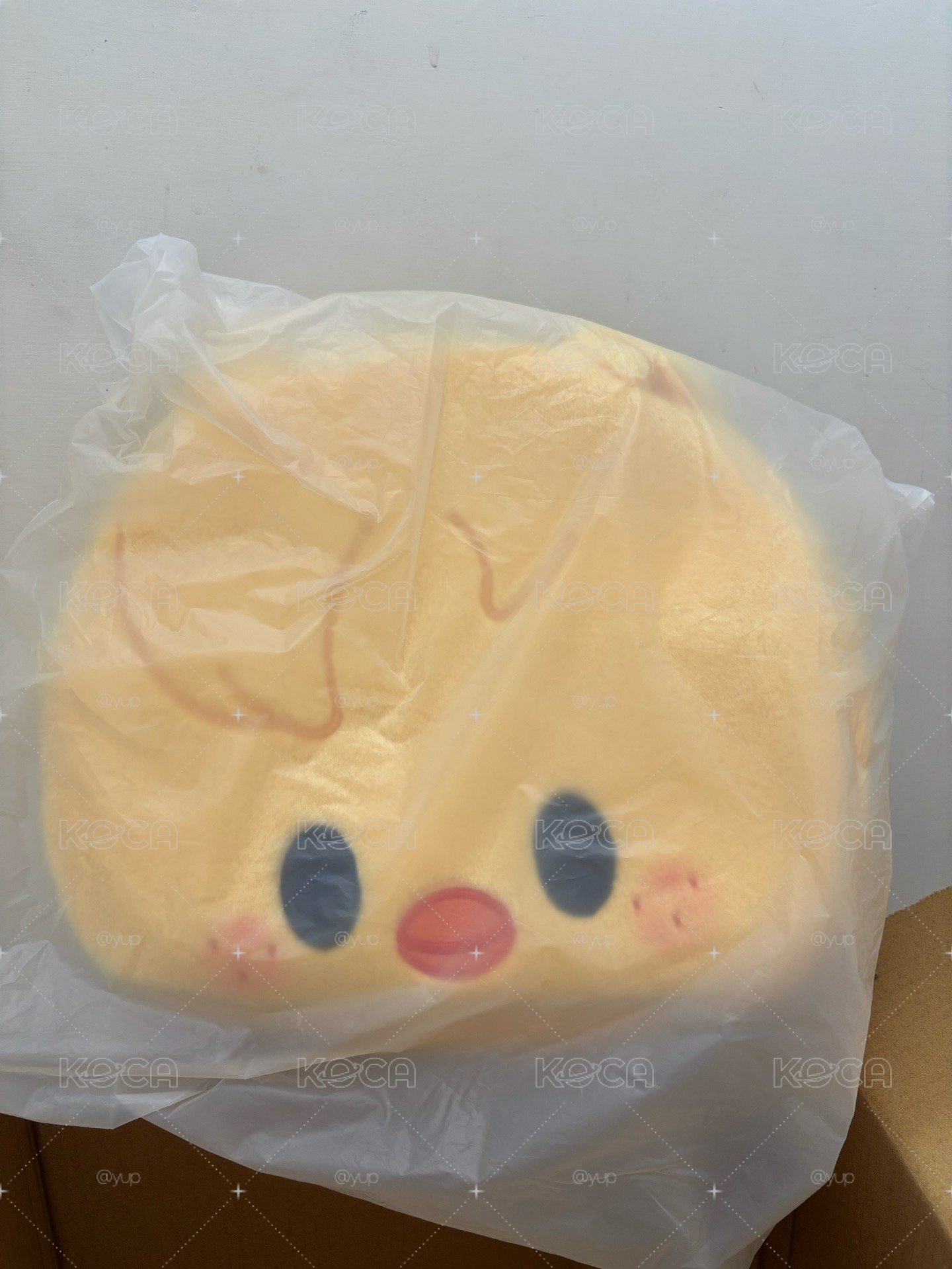 🧭SKZ 菲單肩背包