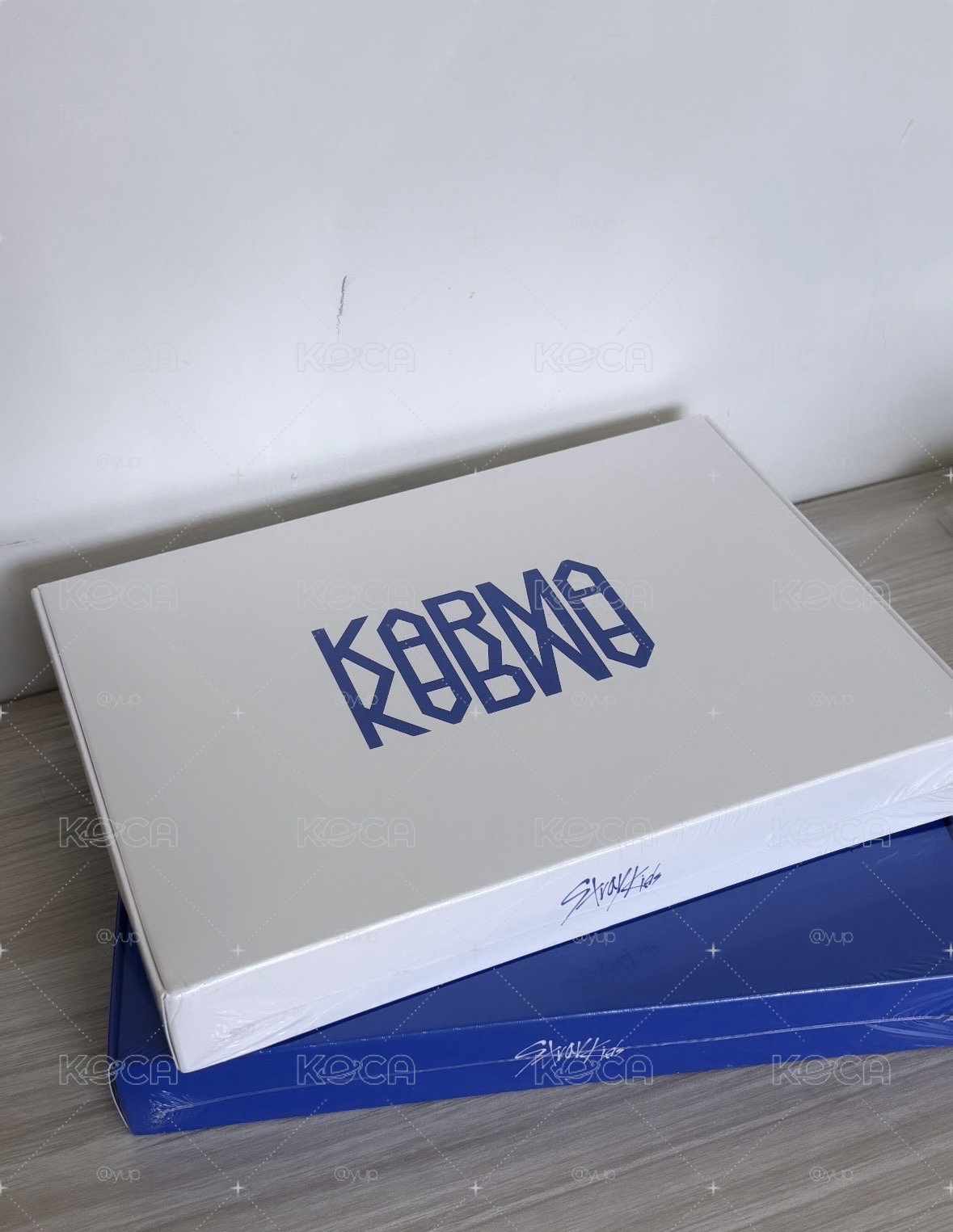 🧭KARMA未拆專 藍白各一