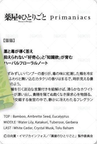 Primaniacs 日版 周邊卡  背面
