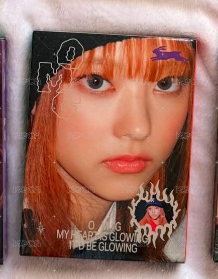 貓