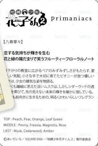 Primaniacs 日版 周邊卡  背面