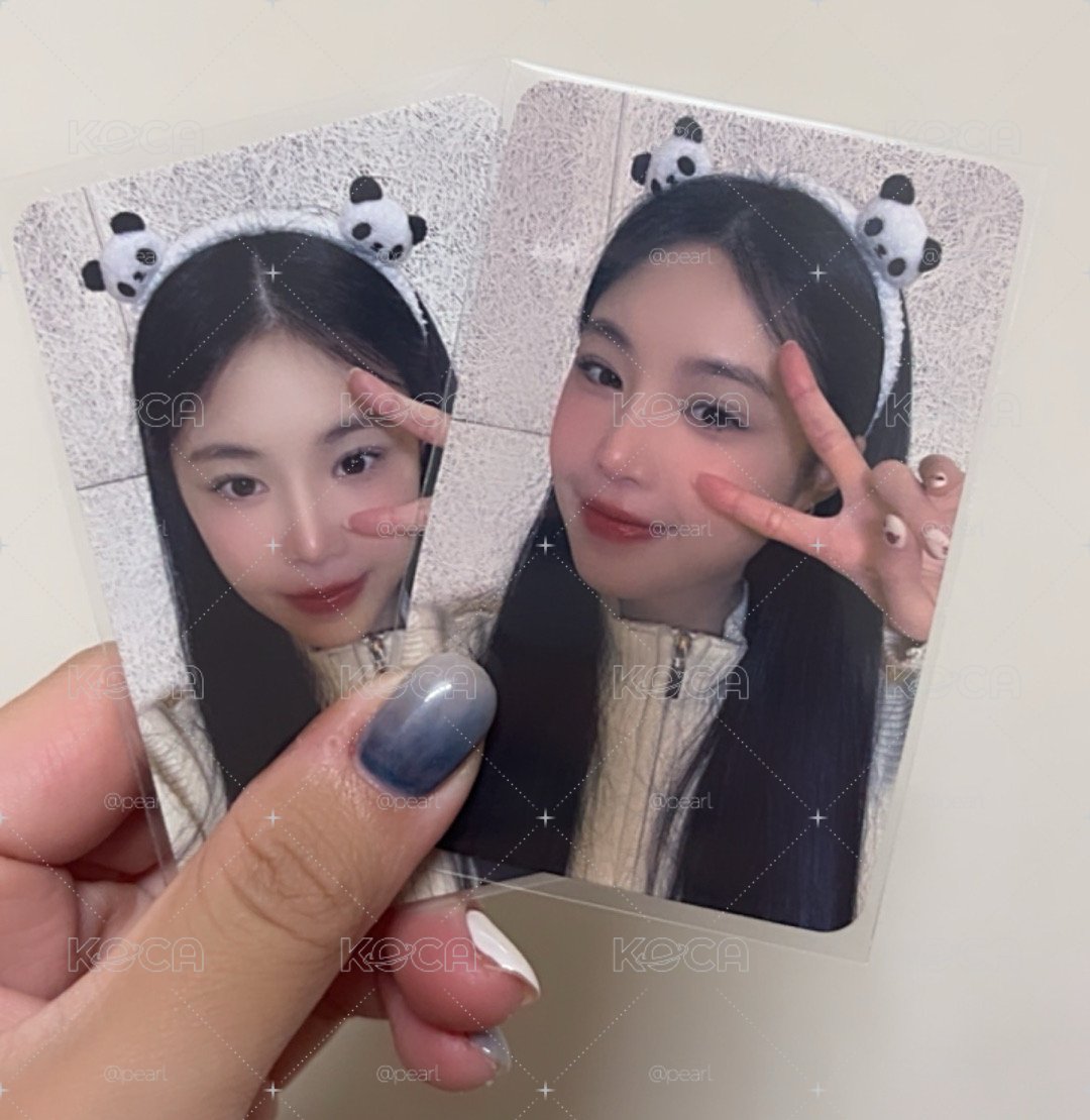 熊貓🐼