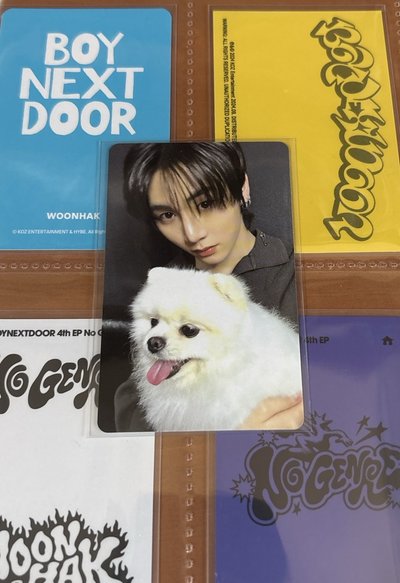 泰山小卡！