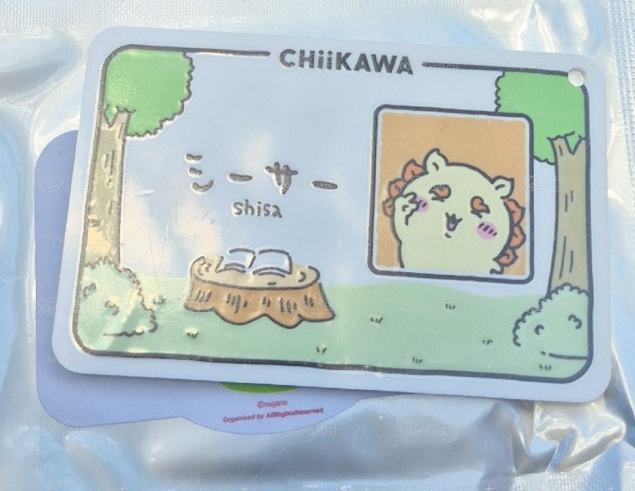 現貨｜獅薩名牌特典