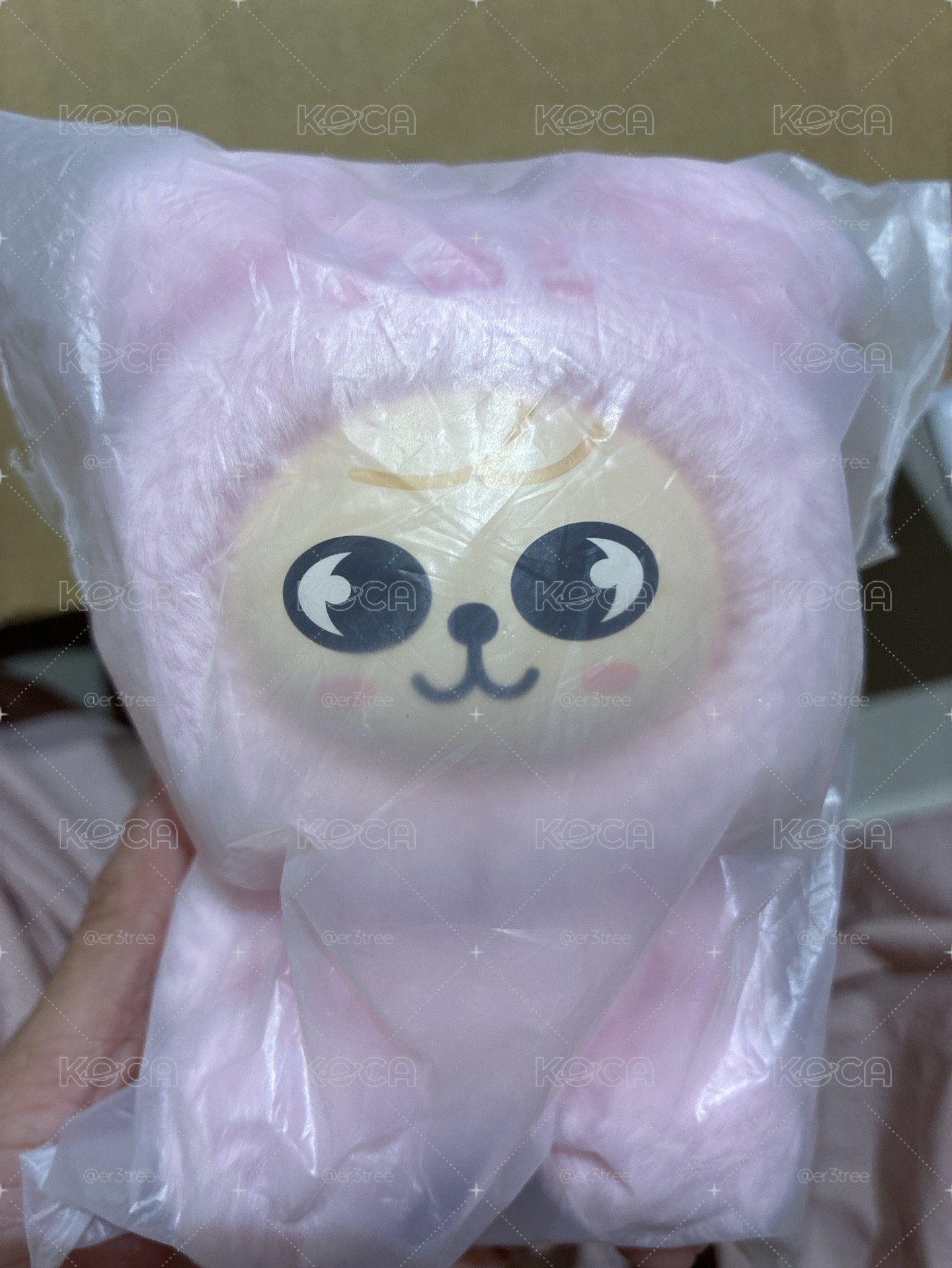 SKZ 六期飯咪 絨毛娃娃 昇玟 帕皮 全新未拆