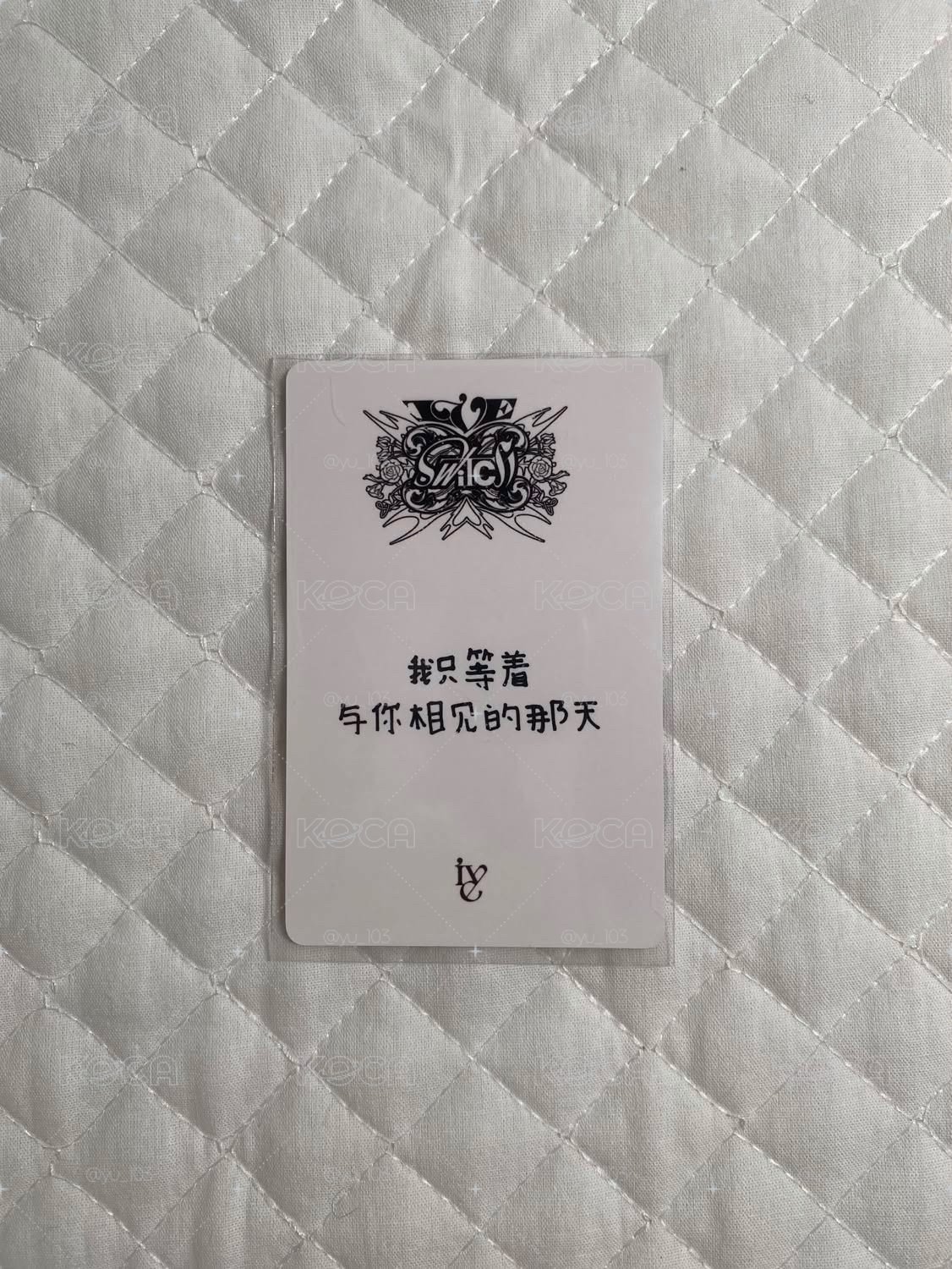 yzy1.0中背栗