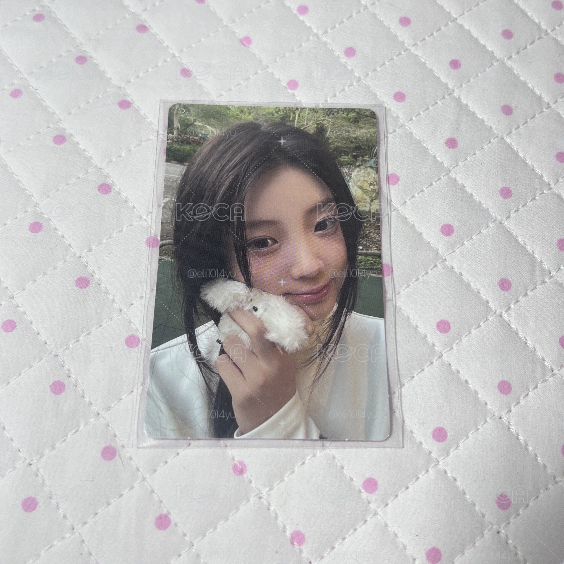 SUPER REAL ME wvs 預售A 特典卡