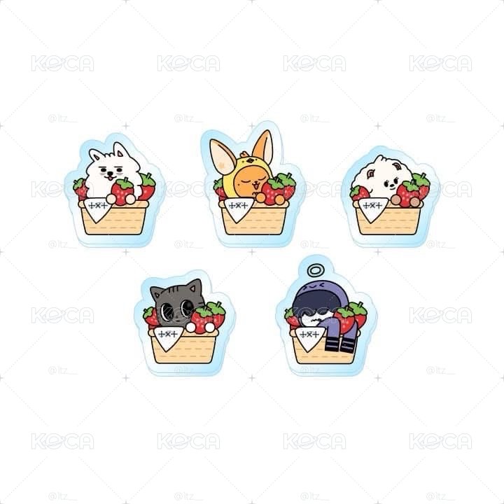 TXT ppulbatu 角巴兔日巡場限徽章-福岡草莓🍓