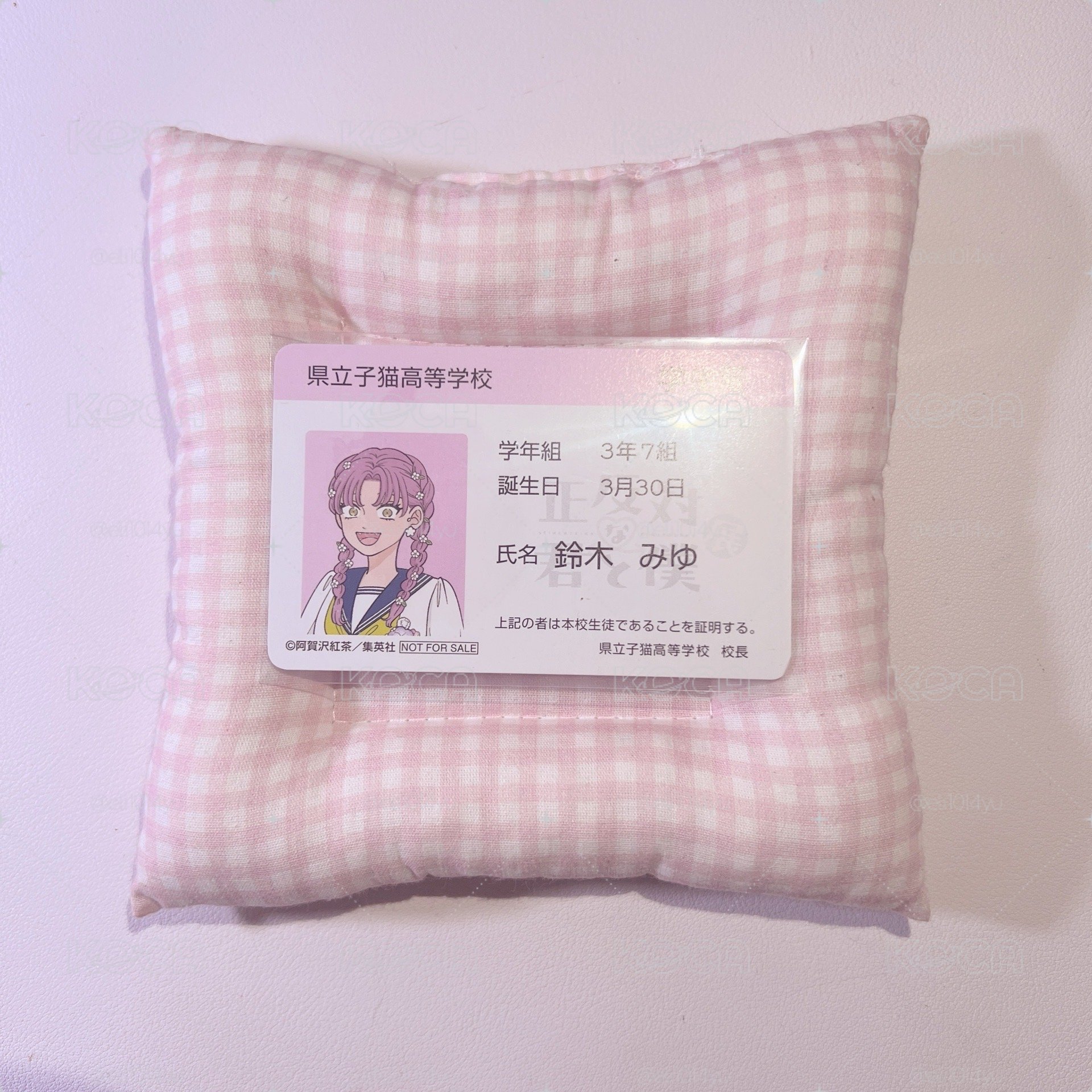 實優醬ㄉ學生證（大損）