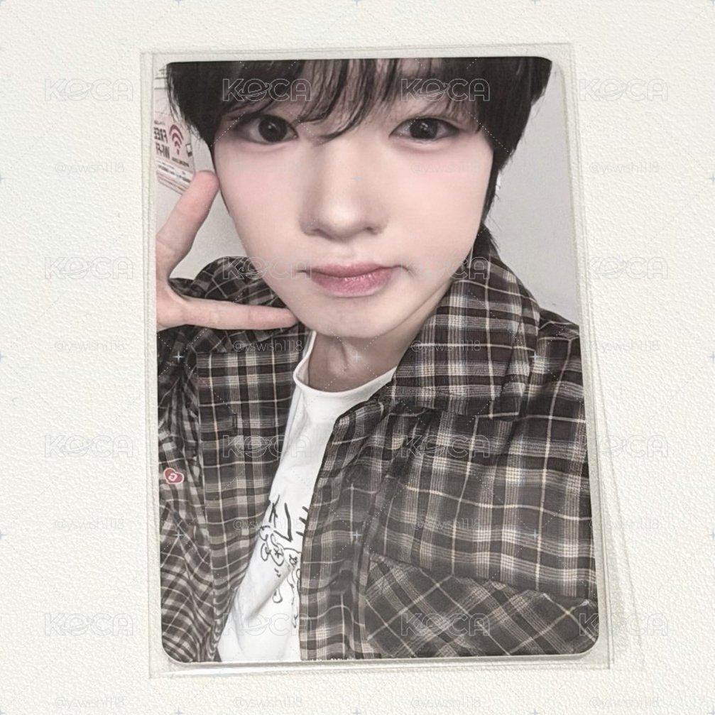 poppop QQ音樂 星光卡 Nct Wish Sakuya   