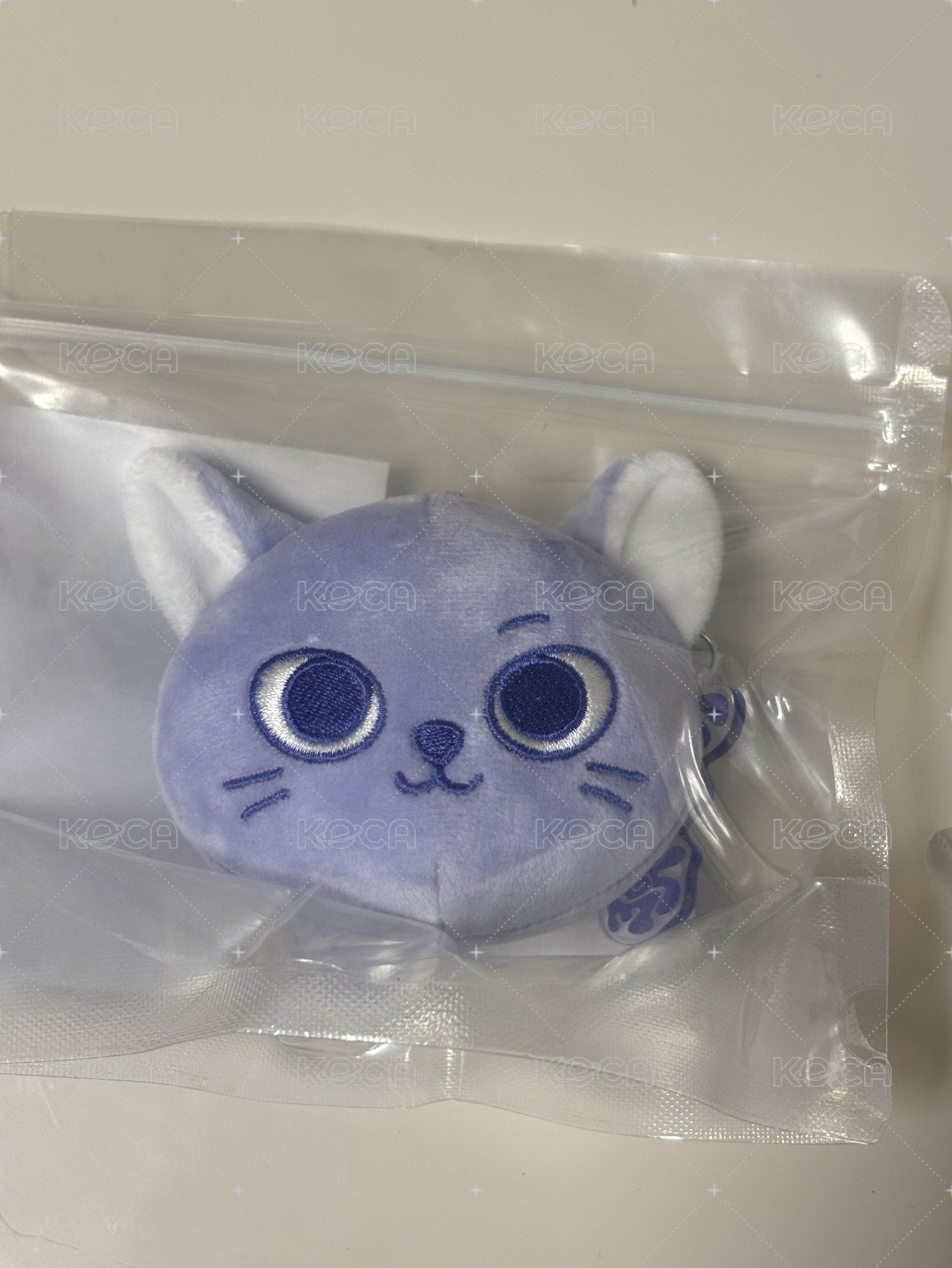 貓比