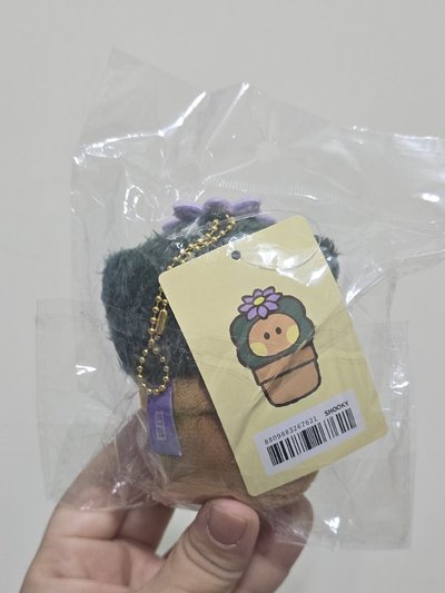 BT21 monopoly仙人掌Shooky