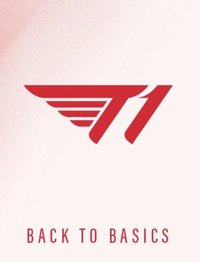 T1 FIGHTING