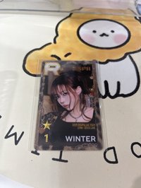 冬遊戲卡（原膜未拆）