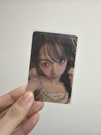 澳門柚