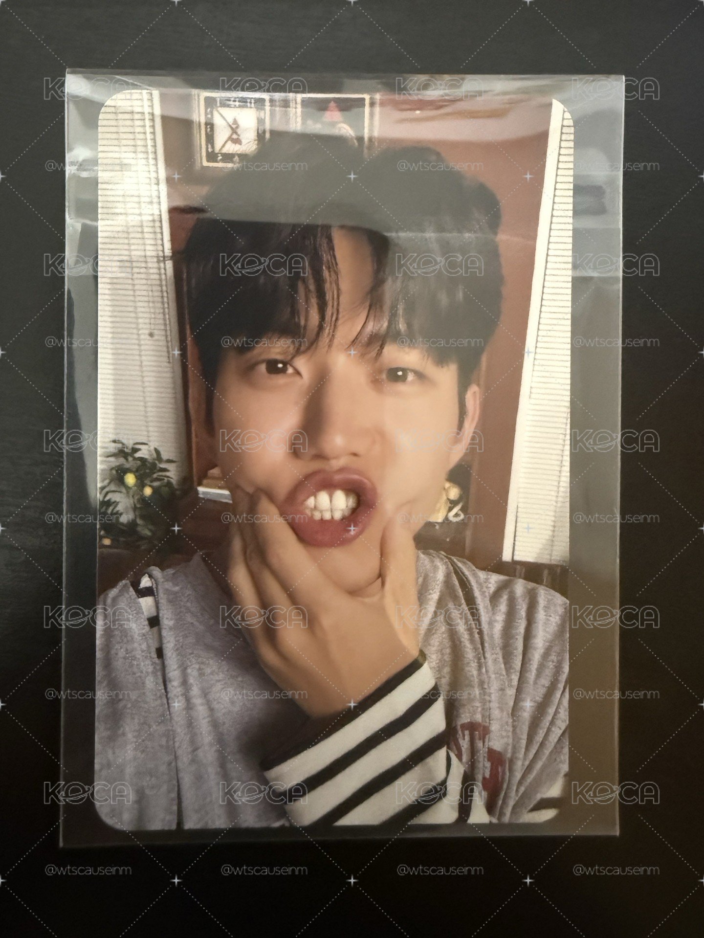 *Dowoon 2025年曆卡