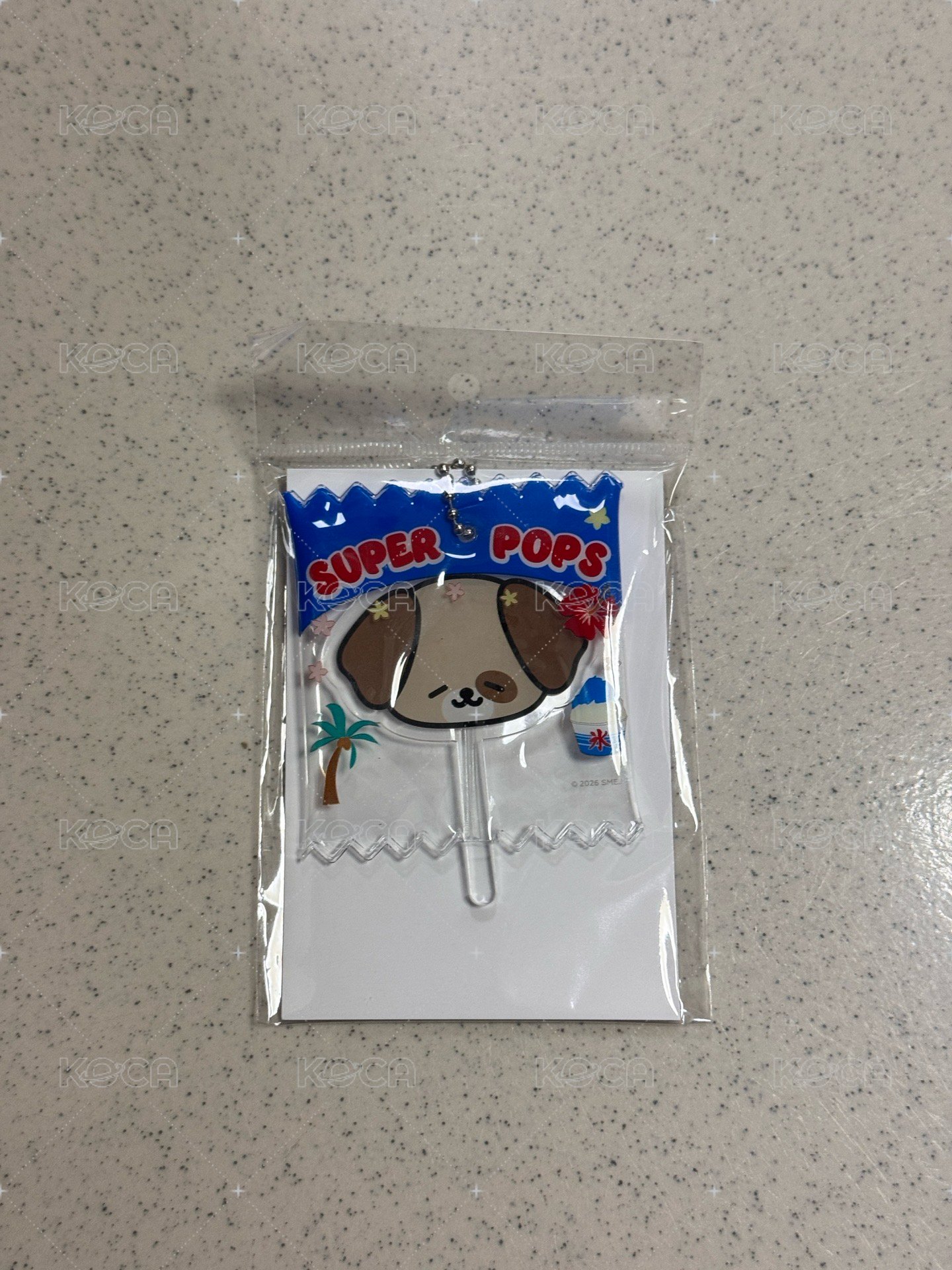 🐶海