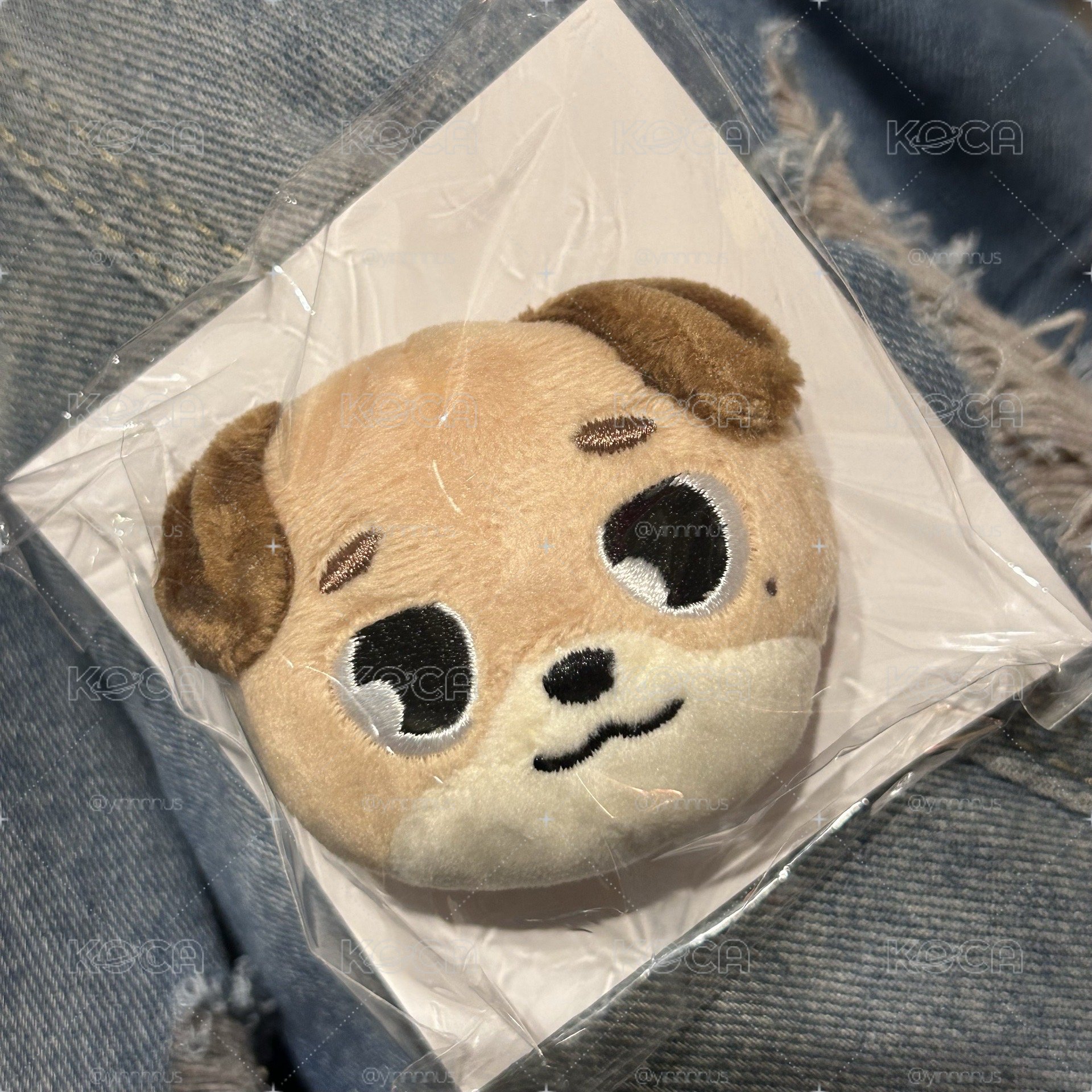 日周髮夾