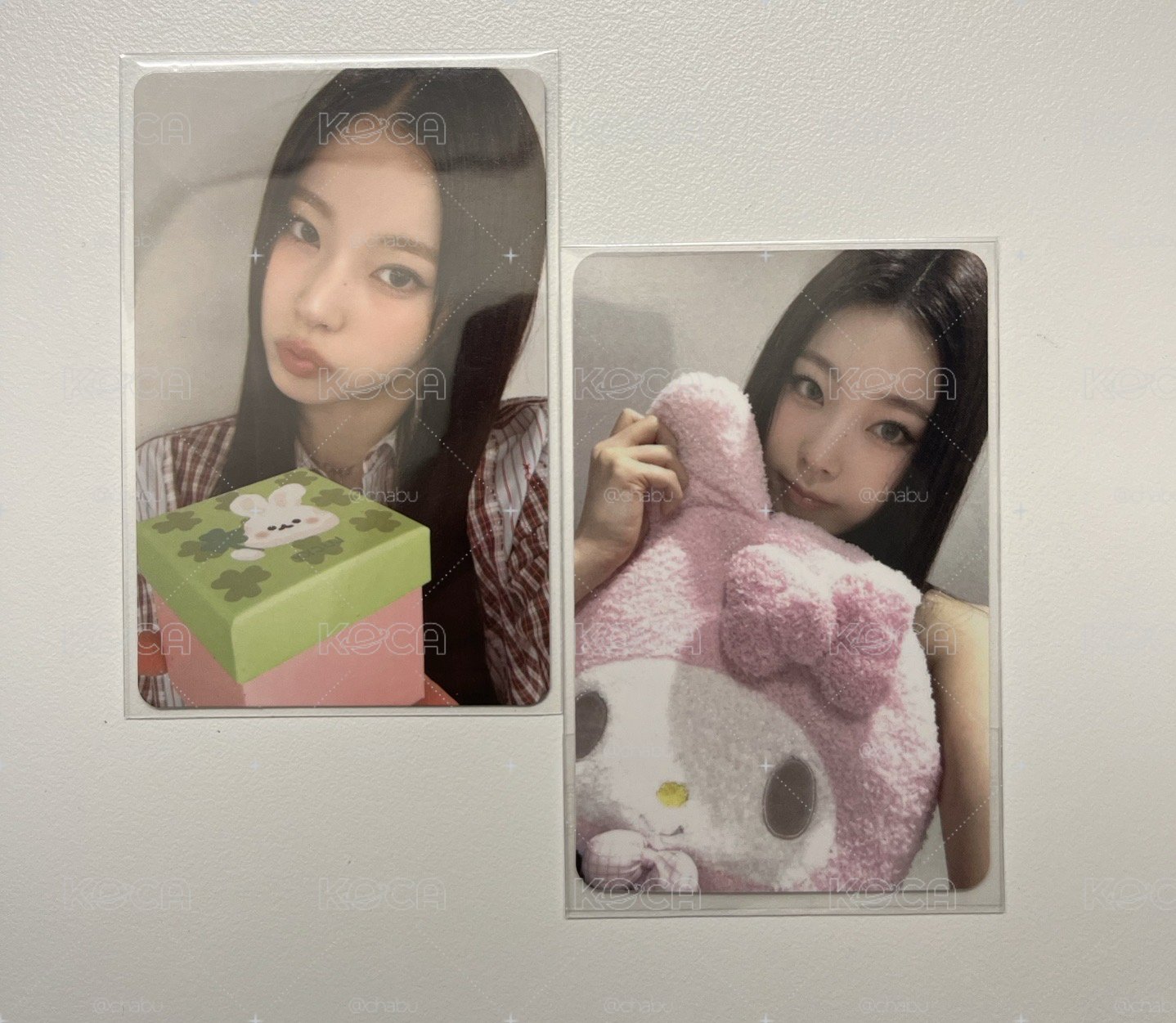 動物朋友圭組合🌟