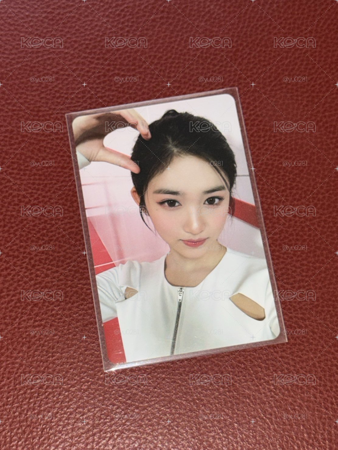 萌萌瑞