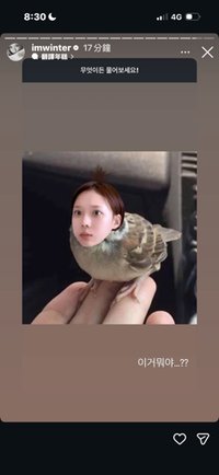nayu