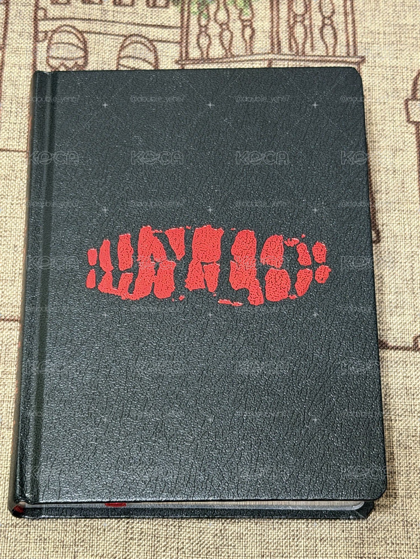 李泰容 WILD Book.ver空專