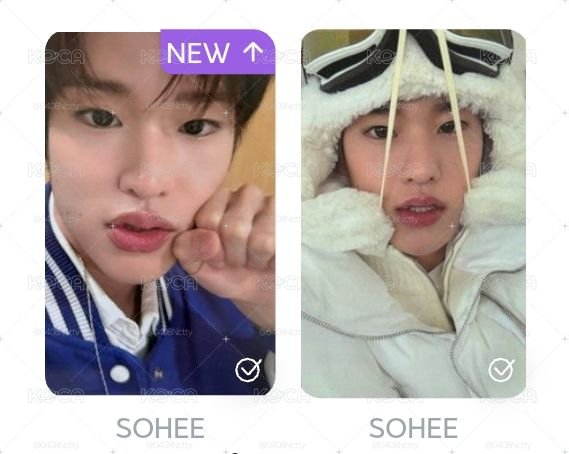 riize sohee證件照 滿額+環球